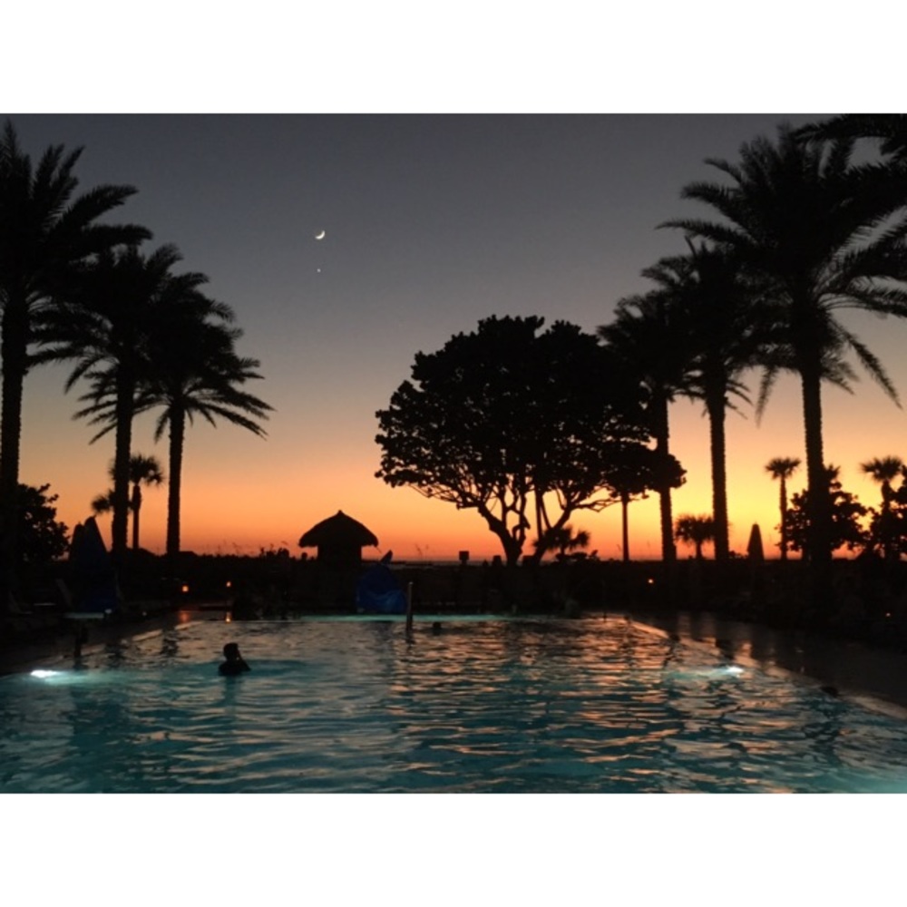 Meet your Posher, Holly